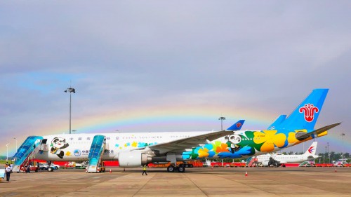 全球最新进博会主题彩绘飞机“进博号”在广州亮相