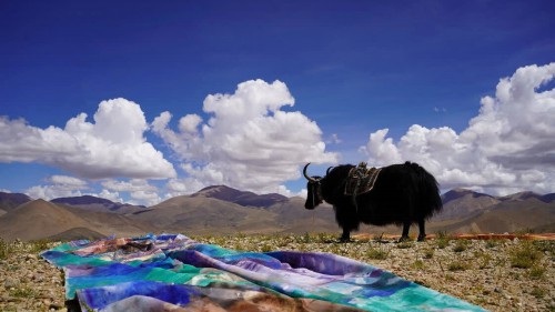 “等风来——王义明的艺术行动”之《虹》于西藏展开