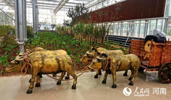 2020年中国农民丰收节将在河南开封举行