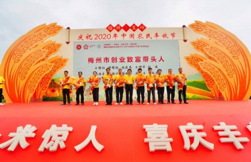 广东梅州蕉岭举行庆祝2020年中国农民丰收节系列活动