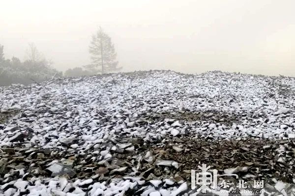 黑龙江这个地方迎2020秋后首场降雪！多地降雨、霜冻…