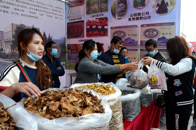 持续三天！磐石市2020年“中国农民丰收节”暨取柴河蘑菇节开幕