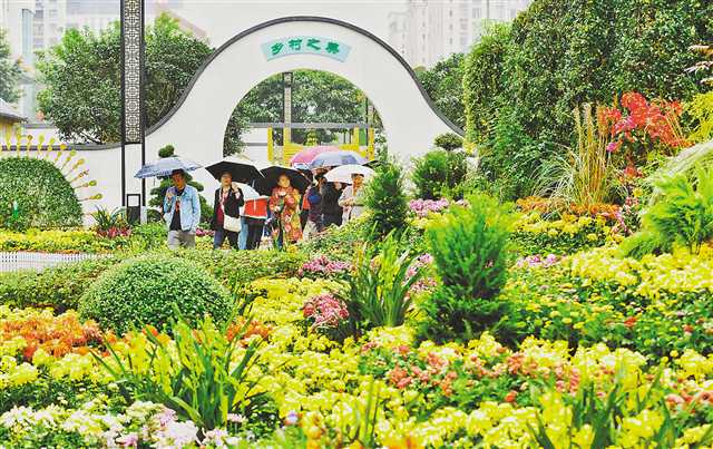 重庆市第24届菊花艺术展在巴南开幕 上千品种200万盆菊花等你来赏