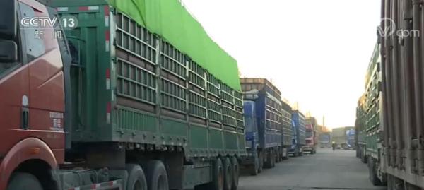 黑龙江：多措并举 为粮食收储保驾护航
