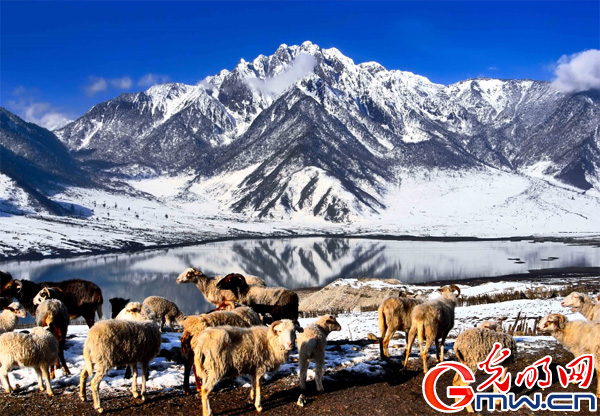 中国彝乡·五彩凉山 2020凉山文化旅游推介会在渝举行