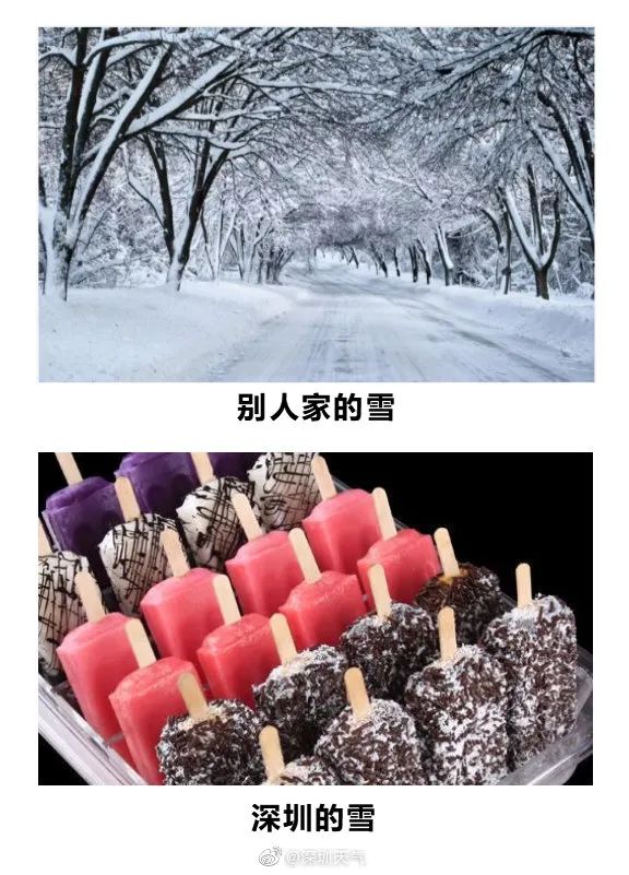 今年首个暴雪预警冲上热搜第一！深圳：我太“南”了
