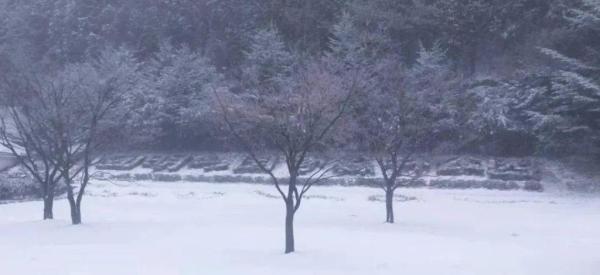 宁波下雪了！正式入冬降温频频，取暖安全不能忘！