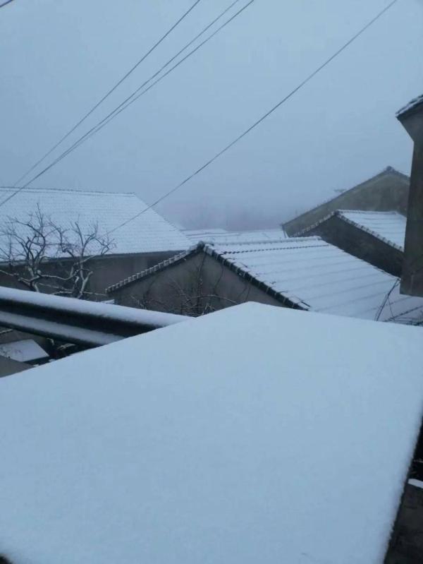 宁波下雪了！正式入冬降温频频，取暖安全不能忘！