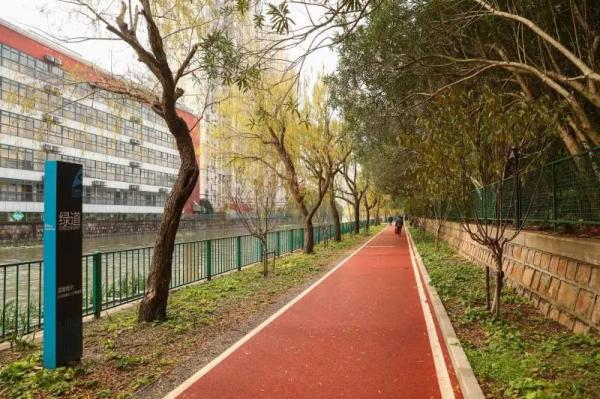 家门口一片“花花绿绿”，上海人均公园绿地面积≈一间房