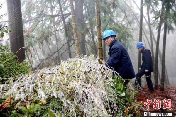 福建三明出现寒潮低温天气 交通出行和电网运行受影响