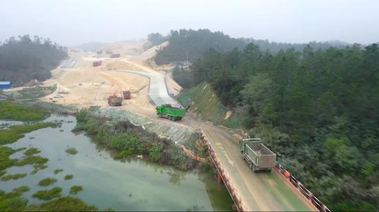 广西钦州：龙门大桥动工5月 红树林一棵不少