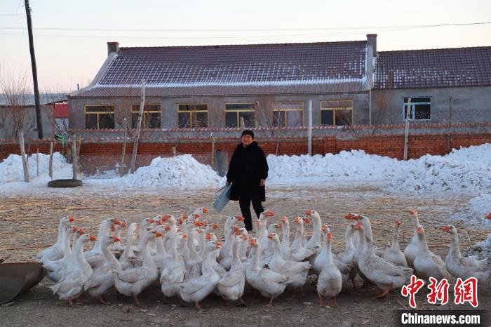 内蒙古：好政策让农民心里有了底、兜里有了钱
