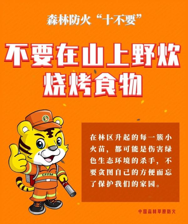 严加防范！青海省发布八起森林草原火灾典型案例