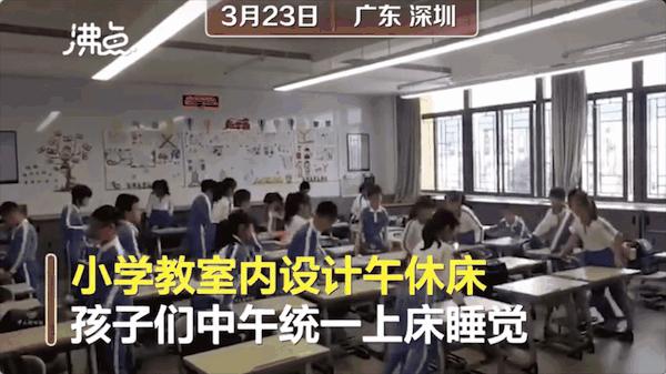 广东这所学校火了！学生这样午睡！网友建议：全国推广！