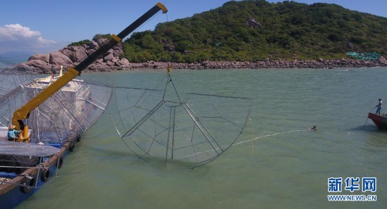 海南三亚：崖州湾生态修复示范初见成效