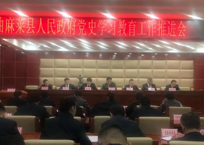 党史学习教育67曲麻莱县人民政府召开党史学习教育工作推进会