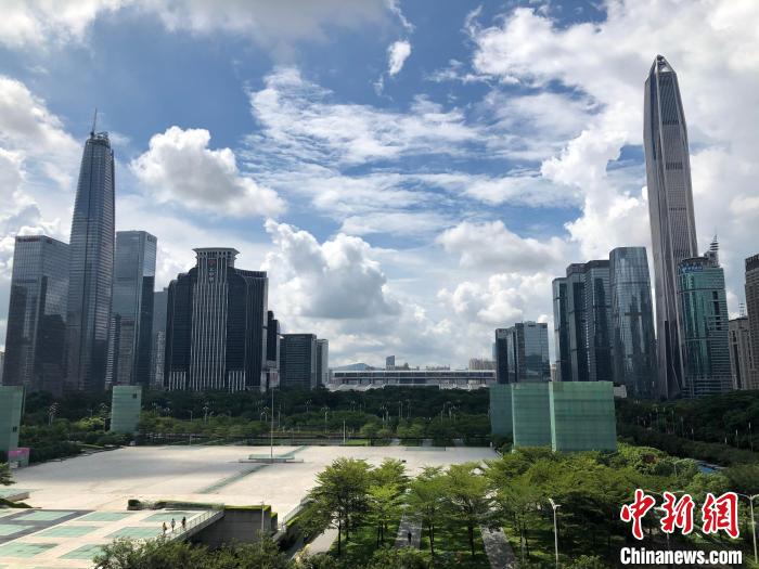 深圳市的经济总量_深圳市经济特区图片