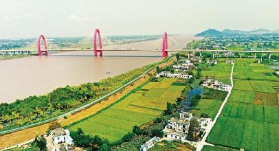 安徽省马鞍山市雨山区：芙蓉出碧水 十里稻花香