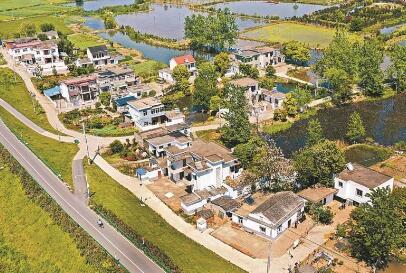 安徽省马鞍山市雨山区：芙蓉出碧水 十里稻花香