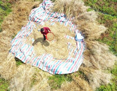 帐篷排行_世峰户外为您盘点2016帐篷十大品牌排名