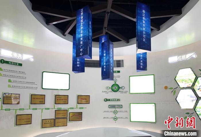 江苏扬州乡村振兴展现新图景 科技引领打造“都市田园”