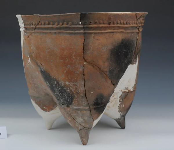 卜骨、陶鬲、玉石器…黑龙江省博物馆再添4500余件（套）“宝贝”