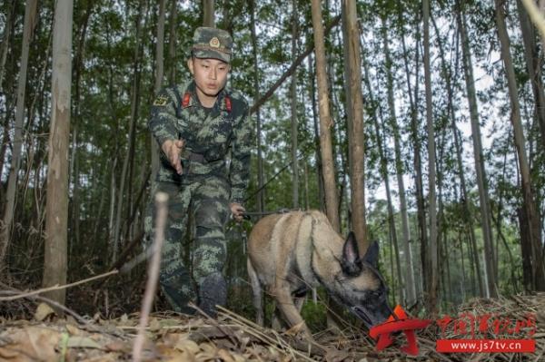 武警广西总队某支队组织训导员携军犬开展多课目训练