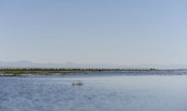 高原明珠——青海湖
