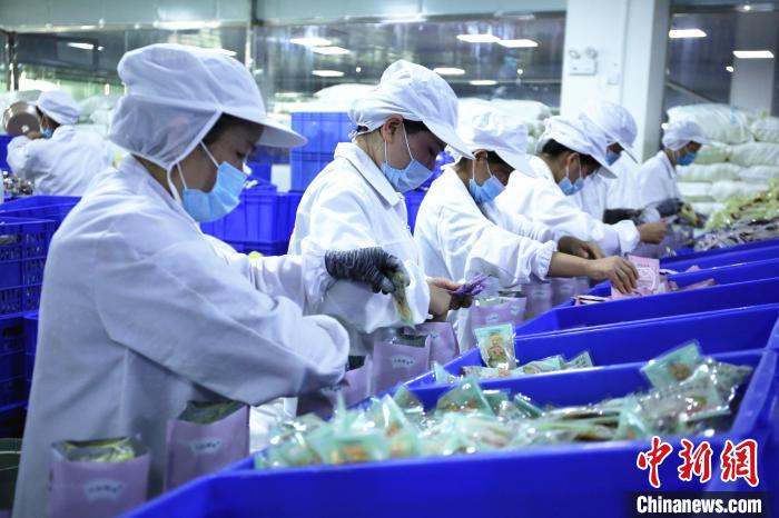 院士专家齐聚广西为柳州螺蛳粉产业高质量发展支招
