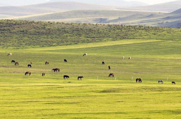 内蒙古将一半国土列入生态保护红线范围