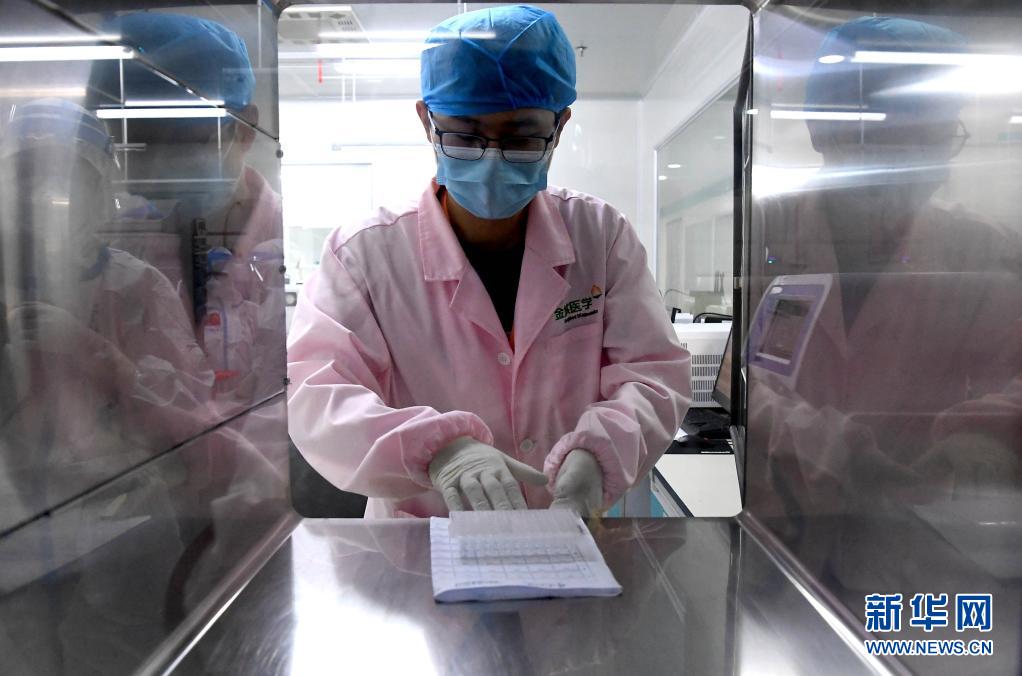 新华全媒＋丨郑州：走进日检200多万人份的核酸检测实验室