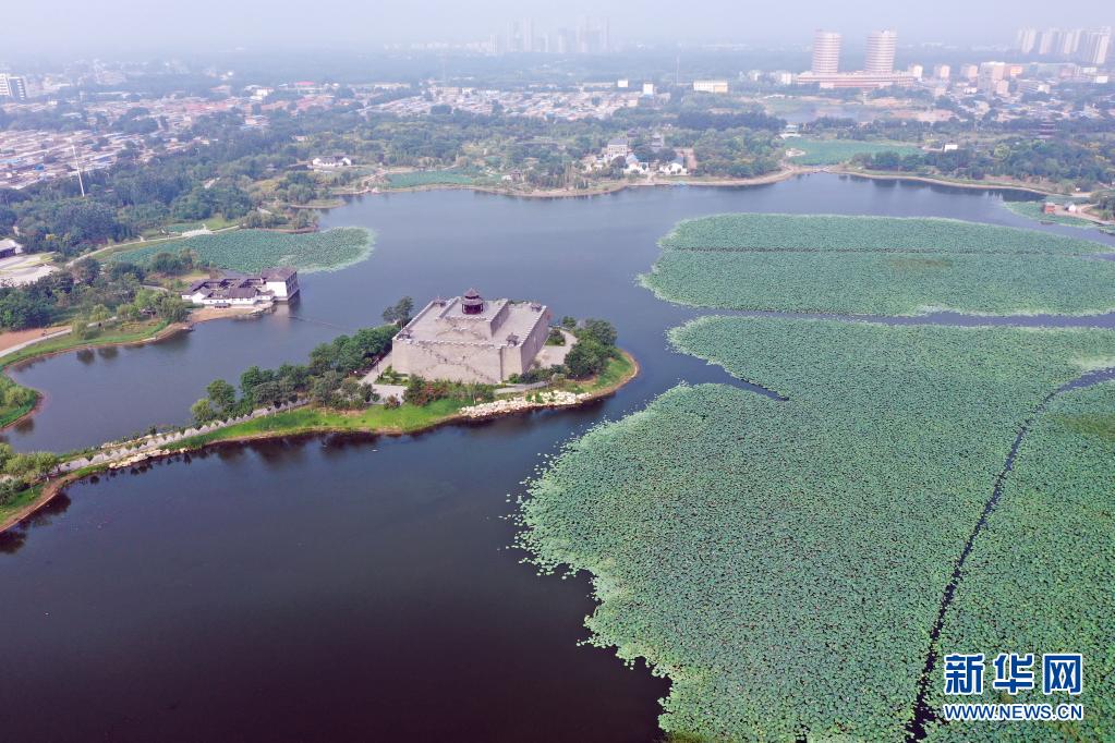 河北河间：建设城市游园 促进生态发展