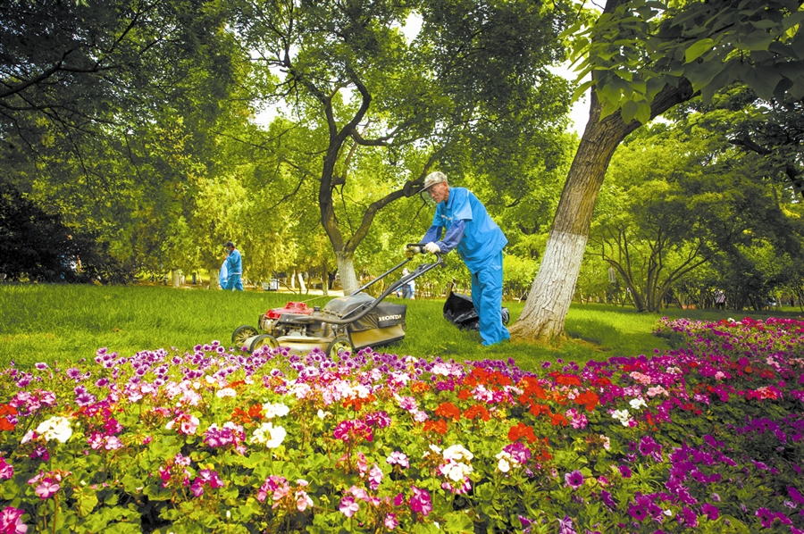 全面升级改造后的甘井子公园，增加了绿植和花卉，成为一处环境优美的休闲健身场所。
