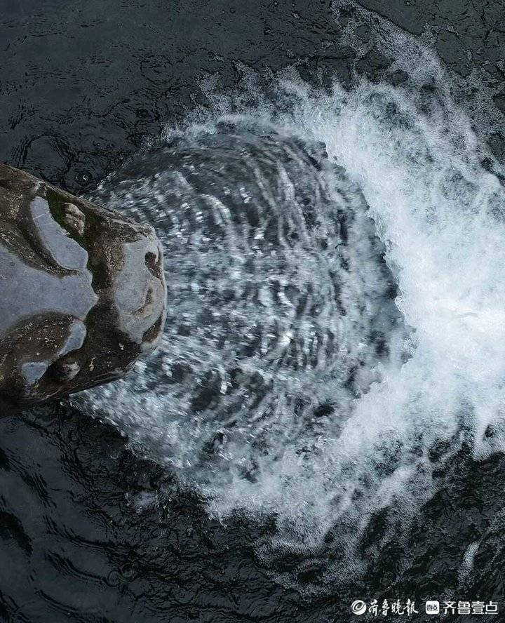 济南黑虎泉水势凶猛：喷涌近一米，声音传几十米