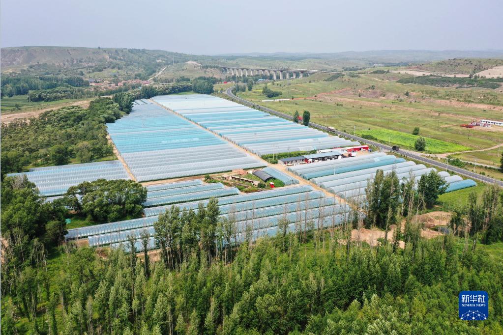 河北尚义：发展设施农业 助力乡村振兴