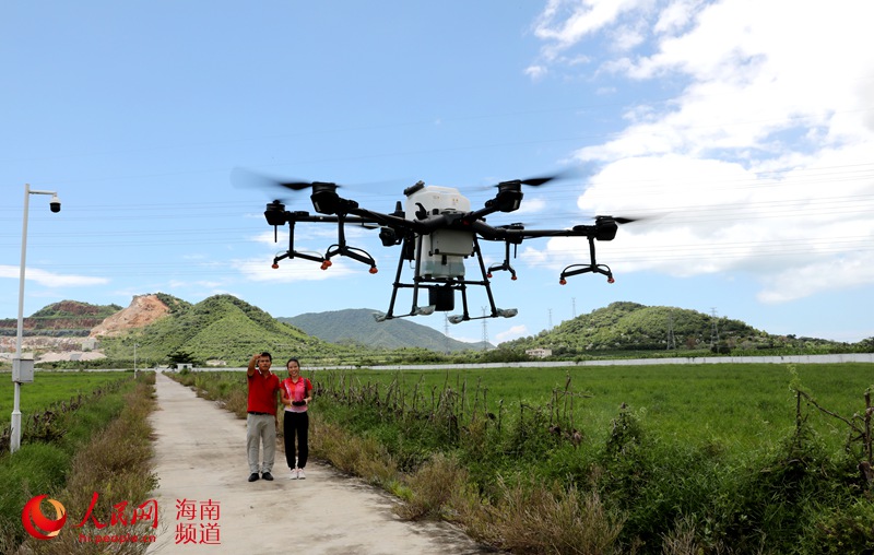 农业插上科技的“翅膀” 农民变身无人机“飞手”