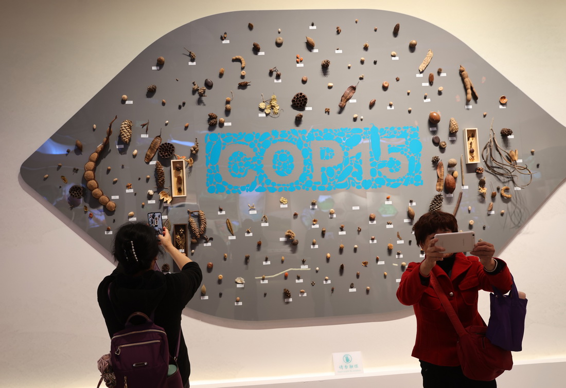 COP15会场免费向公众开放