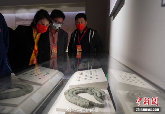 17国华裔杰出青年打卡河南博物院