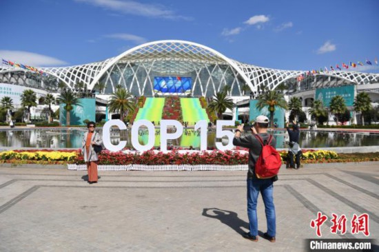 COP15会场即将关闭 昆明市民参观热情不减