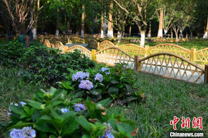 浙江杭州推小公园“民间园长” 探公共设施共建共享新模式