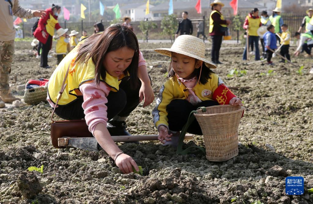 重庆：田园亲子活动 体验农耕文化