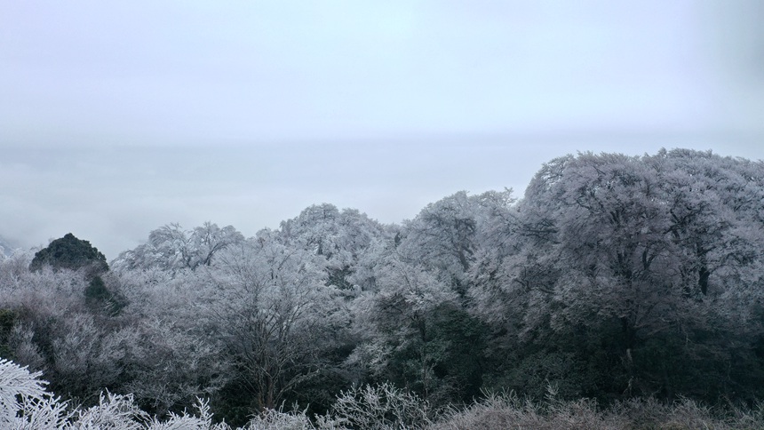 资源县的雪景太好看了