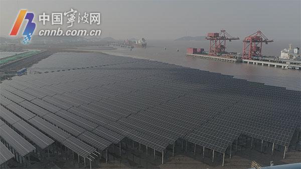 宁波舟山港核心港区首个滩涂光伏发电项目成功并网发电