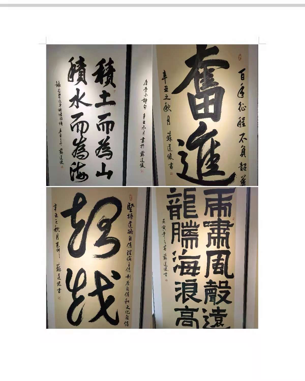 苏道俨书法展举行 “广西书法院创展中心”同期揭牌