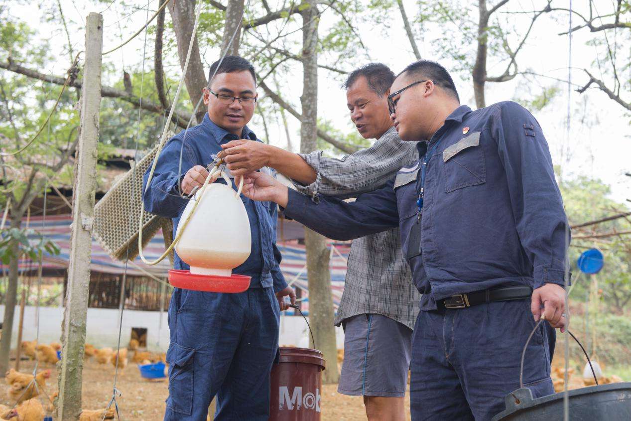 让农户在家门口走上致富路——记广西优秀驻村第一书记吴富华 驻村第一书记吴富华帮助村民李元学通过养鸡实现了脱贫摘帽。黄龙辉 摄