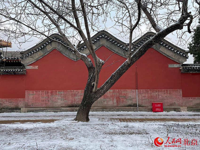 组图：北京迎2022年初雪 故宫覆盖白雪更显魅力