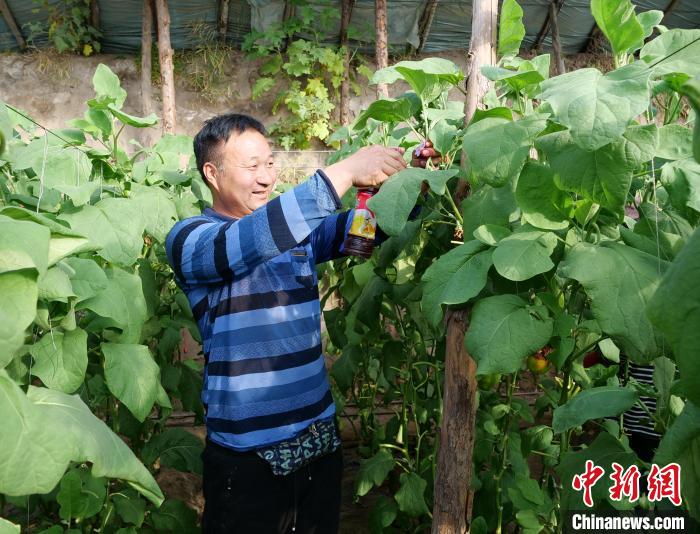 内蒙古新型农牧民成“绿领” 享受劳动享受生活