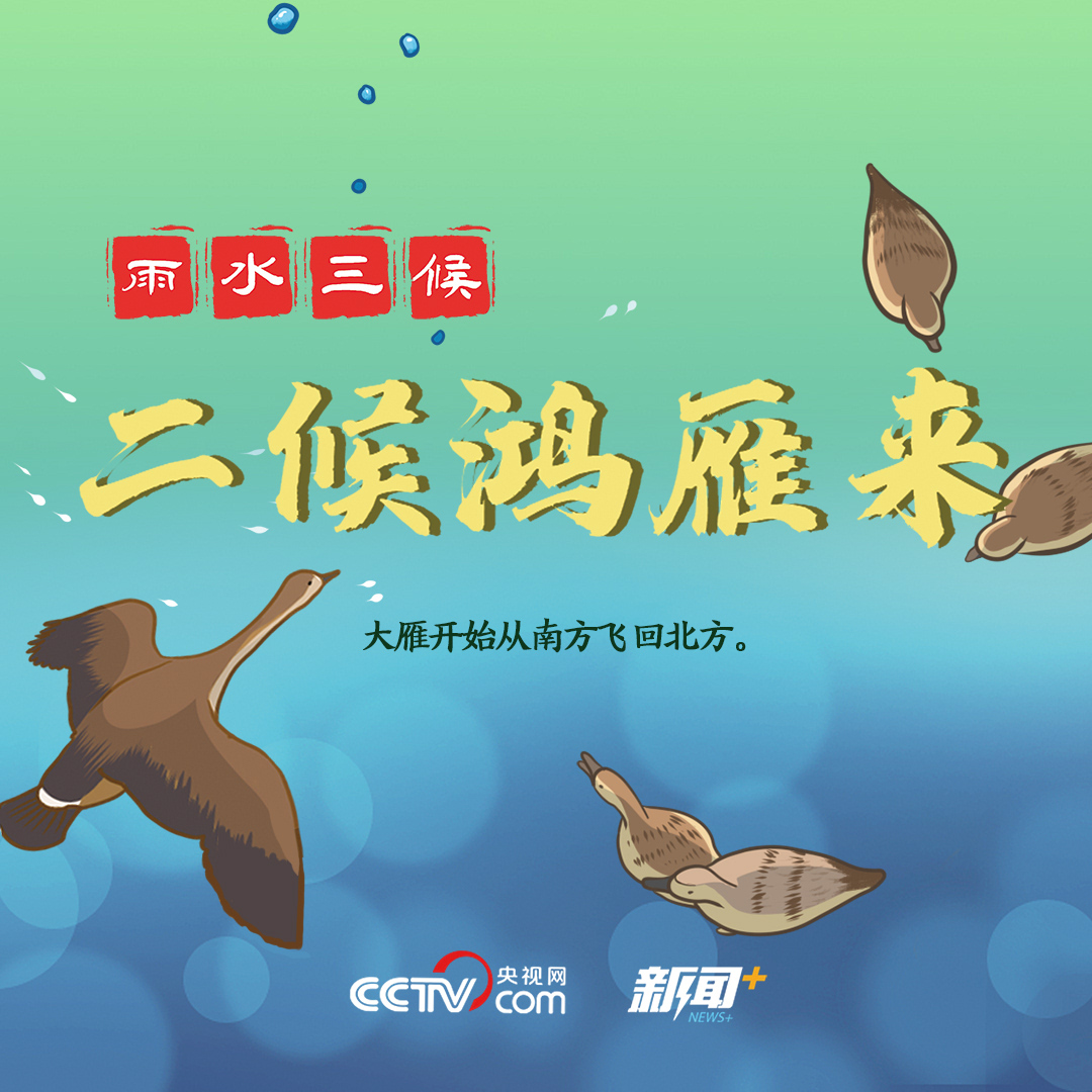 【二十四节气那些事儿】寻找雨水节气的硬核知识点