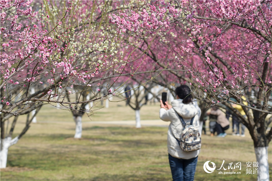 市民在花丛中拍照。人民网记者 苗子健摄