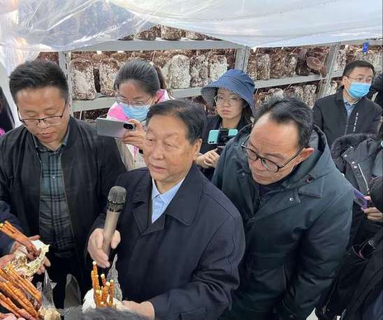 “菌草之父”林占熺 开年再续《山海情》